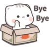 Bye
Bye
Cat