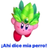 Kirby 11