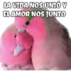 LA VIDA NOS UNIÓ Y
EL AMOR NOS JUNTO