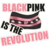 BLACK PINK ✾ [✓] 9