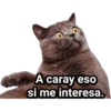 A caray eso
si me interesa.