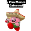Kirby 13