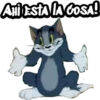 #8 memes variados 21
