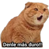 Denle más duro!!