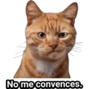No me convences,