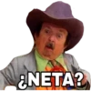 ¿NETA?