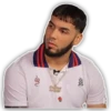 Karol G & Anuel 14