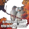 #freyaeverafter.
EL PARAÍSO SI EXITE Y
ESTA ENTRE TUS BRAZOS