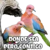 DONDE SEA
PERO CONTIGO