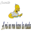Homero Simpson con frases 20
