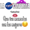 La NASA Confirma... 16
