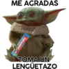 Baby Yoda en Uruguay 18