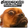 ¿Acaso me estas
mintiendo???