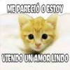 ME PARECIÓ O ESTOY
VIENDO UN AMOR LINDO