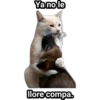 Ya no le
llore compa.