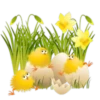 Easter eggs 3 8