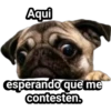 Aqui
esperando que me
contesten.