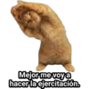 Mejor me voy a
hacer la ejercitación.