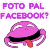 Bichos Raros 26