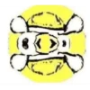 Enojado 18