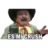 ES MI CRUSH