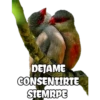 DEJAME
CONSENTIRTE
SIEMRPE