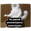 dizi film replik 2 23
