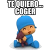 TEQUIERO.
COGER