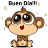 Buen día 13
