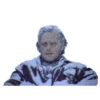 Meme 29