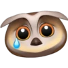 Owl memoji 12