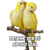 DEJAME SER TÚ
APOYO LEAL