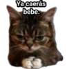 Ya caerás
bebe.