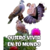 QUIERO VIVIR
EN TÚ MUNDO
da