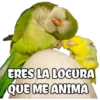ERES LA LOCURA
QUE ME ANIMA