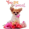 Cute and Cute 30