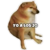 PERRO MUSCULOSO 🇦🇷 5