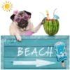 HOLIDAY DOGS 5