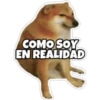 PERRO MUSCULOSO 🇦🇷 7