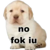 no
fok iu
