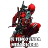 COCORO
CHID
TE TENGO EN LA
MIRA RIGURA