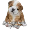 Chale, necesito hacer la
ejercitación