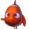 Nemo & Coco 8