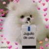 B
vanesa
Juguito
de uwu