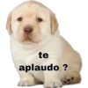 te
aplaudo ?