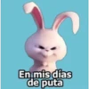 En mis días
de puta