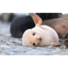 Animales que maravilla #02 9