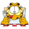Garfield 11
