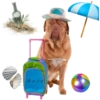 HOLIDAY DOGS 10