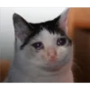 Michis Llorando #2 11